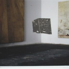 Daniel Senise