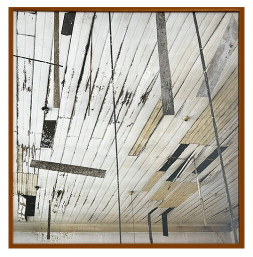 W.L.140, obra de Daniel Senise