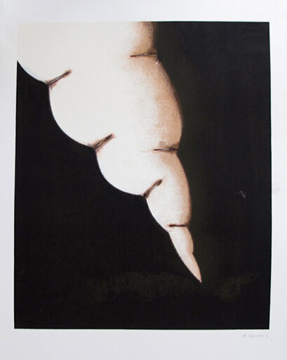 Fogo fátuo, obra de Daniel Senise