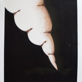 Daniel Senise