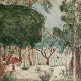 Francisco Rebolo