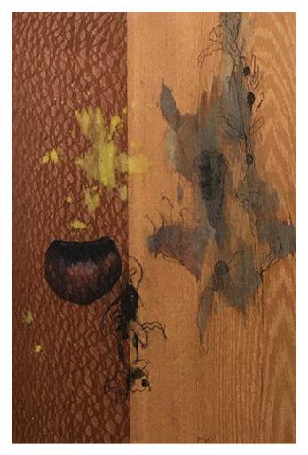 Minucia CII # 5353, obra de Bob Nugent