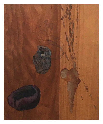 Minucia XXV # 5254, obra de Bob Nugent