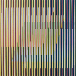 Carlos Cruz Diez