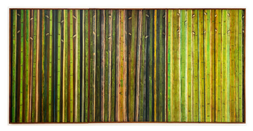 Canavial, obra de Montez Magno