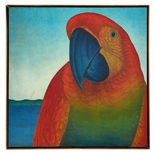 Papagalia, obra de Claudio Tozzi
