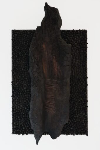 Obra, obra de Frans Krajcberg