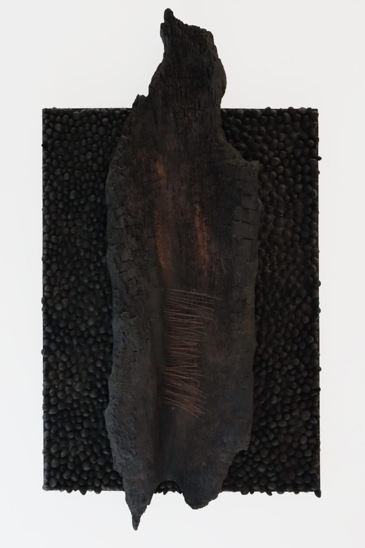 Obra, obra de Frans Krajcberg