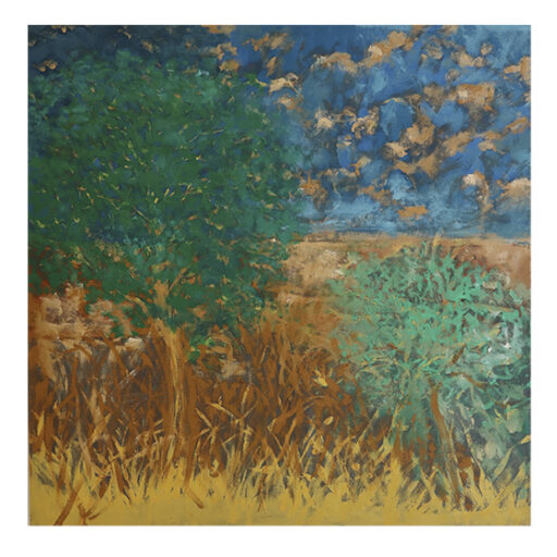 Paisagem, obra de Rubens Matuck